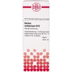KALIUM CARBONICUM D 12 Dilution 50 ml (артикул 2810163) Германия