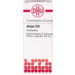 JALAPA C 30 Globuli 10 g (артикул 7170662) Германия
