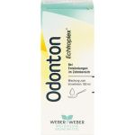 ODONTON Echtroplex Mischung 100 ml (артикул 3546751) Германия