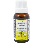 XANTHOXYLON KOMPLEX Nr.57 Dilution 20 ml (артикул 1136799) Германия