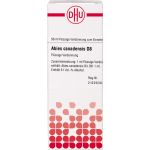 ABIES CANADENSIS D 8 Dilution 50 ml (артикул 4200026) Германия