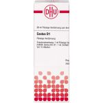 CACTUS D 1 Dilution 20 ml (артикул 2125579) Германия