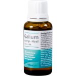 GALIUM COMP.-Heel ad us.vet.Tropfen 30 ml (артикул 4658050) Германия
