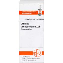 LM RHUS toxicodendron XVIII Globuli 5 g – Артикул 2659967 (артикул 2659967) Германия
