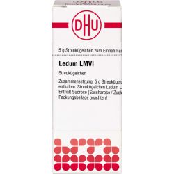 LM LEDUM VI Globuli 5 g – Артикул 4506179 (артикул 4506179) Германия