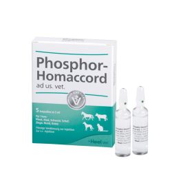 PHOSPHOR HOMACCORD ad us.vet.Ampullen 5 St – Артикул 2585097 (артикул 2585097) Германия