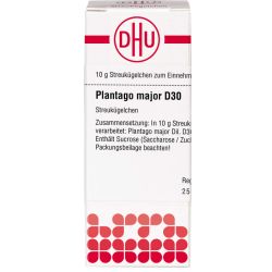 PLANTAGO MAJOR D 30 Globuli 10 g – Артикул 7177457 (артикул 7177457) Германия
