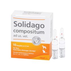 SOLIDAGO COMPOSITUM ad us.vet.Ampullen 10 St – Артикул 1219864 (артикул 1219864) Германия