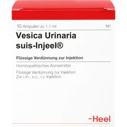 VESICA URINARIA suis-Injeel Ampullen 10 St – Артикул 1090181 (артикул 1090181) Германия