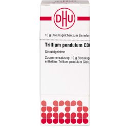 TRILLIUM PENDULUM C 30 Globuli 10 g – Артикул 7249926 (артикул 7249926) Германия