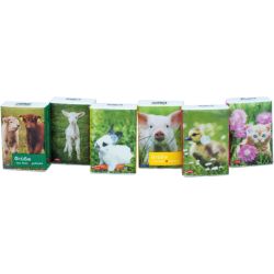 TASCHENTCHER Pocket Tierkinder 1 St – Артикул 12366769 (артикул 12366769) Германия