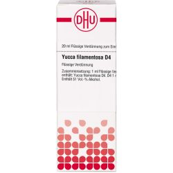 YUCCA FILAMENTOSA D 4 Dilution 20 ml – Артикул 7183765 (артикул 7183765) Германия