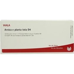 ARNICA E PLANTA TOTA D 4, 10X1 ML – Артикул 3358021 (артикул 3358021) Германия