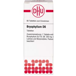 BRYOPHYLLUM D 6 Tabletten 80 St – Артикул 546911 (артикул 546911) Германия