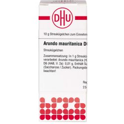 ARUNDO mauritanica D 6 Globuli 10 g – Артикул 4205851 (артикул 4205851) Германия