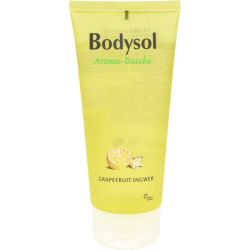 BODYSOL Aroma Duschgel Grapefruit Ingwer 100 ml – Артикул 9001395 (артикул 9001395) Германия