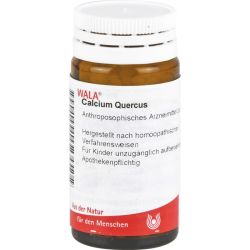 CALCIUM QUERCUS Globuli velati 20 g – Артикул 81091 (артикул 81091) Германия