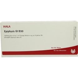 EPIPHYSIS GL D30, 10X1 ML – Артикул 3357464 (артикул 3357464) Германия