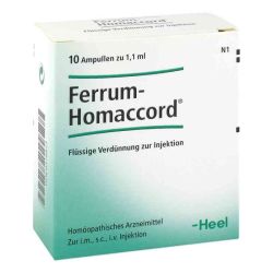 Ferrum Homaccord Ampullen (10 stk) – Артикул 379873 (артикул 379873) Германия