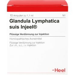 GLANDULA LYMPHATICA suis Injeel Ampullen 10 St – Артикул 420558 (артикул 420558) Германия