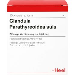 GLANDULA PARATHYREOIDEA suis Injeel Ampullen 10 St – Артикул 420630 (артикул 420630) Германия