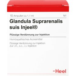 GLANDULA SUPRARENALIS suis Injeel Ampullen 10 St – Артикул 420937 (артикул 420937) Германия