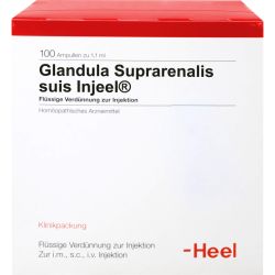 GLANDULA SUPRARENALIS suis Injeel Ampullen 100 St – Артикул 420972 (артикул 420972) Германия