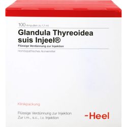 GLANDULA THYREOIDEA suis Injeel Ampullen 100 St – Артикул 421339 (артикул 421339) Германия