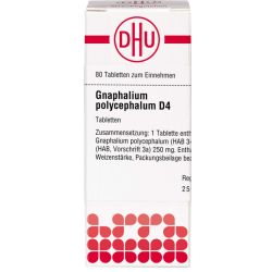 GNAPHALIUM POLYCEPHALUM D 4 Tabletten 80 St – Артикул 2116824 (артикул 2116824) Германия