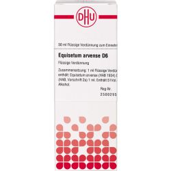 EQUISETUM ARVENSE D 6 Dilution 50 ml – Артикул 4216145 (артикул 4216145) Германия