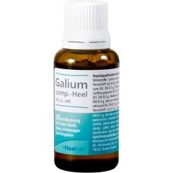 GALIUM COMP.-Heel ad us.vet.Tropfen 30 ml – Артикул 4658050 (артикул 4658050) Германия