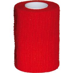 HGA-HAFT Color Fixierb.8 cmx4 m rot 1 St – Артикул 10933187 (артикул 10933187) Германия