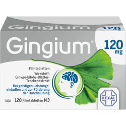 GINGIUM 120 mg Filmtabletten 120 St – Артикул 14171188 (артикул 14171188) Германия